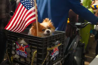 Dog