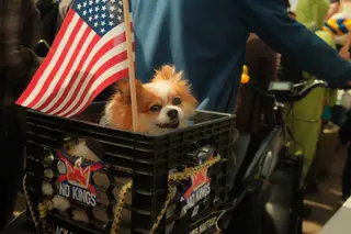Dog