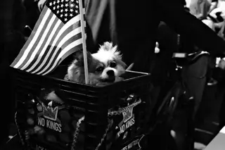 Dog