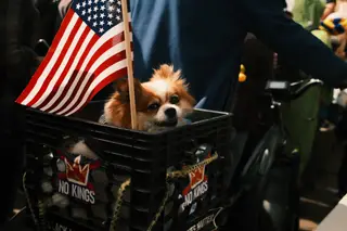 Dog