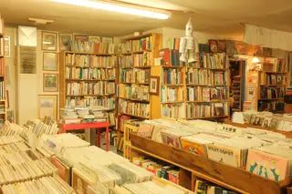 Indoor Scene
