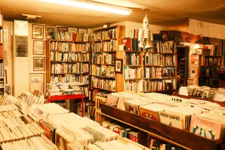 Indoor Scene