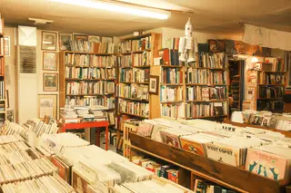 Indoor Scene