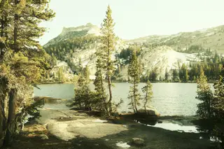 Landscape