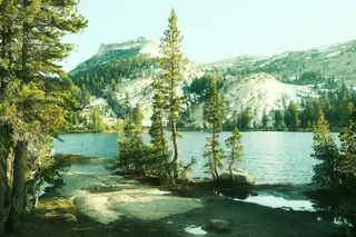 Landscape