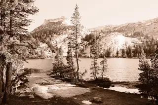 Landscape