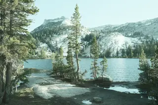 Landscape