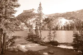 Landscape