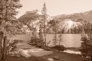 Landscape