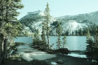 Landscape