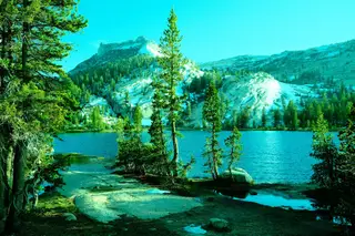 Landscape