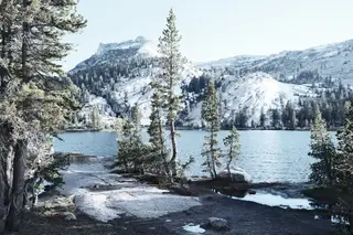 Landscape