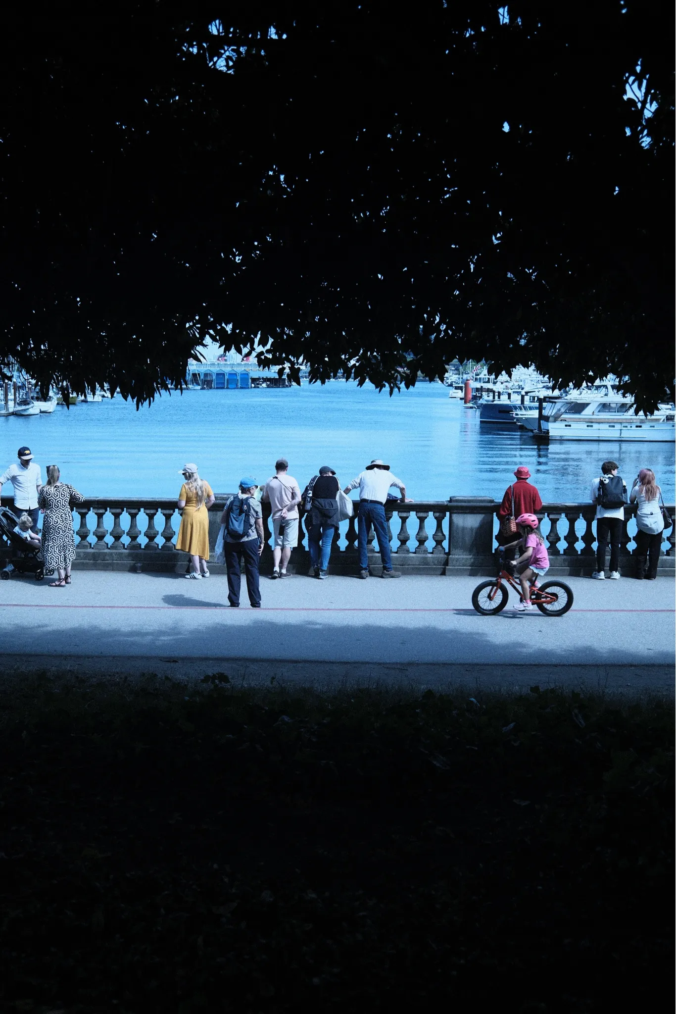 Seawall, rendered in CineStill 800T (X-Trans III)