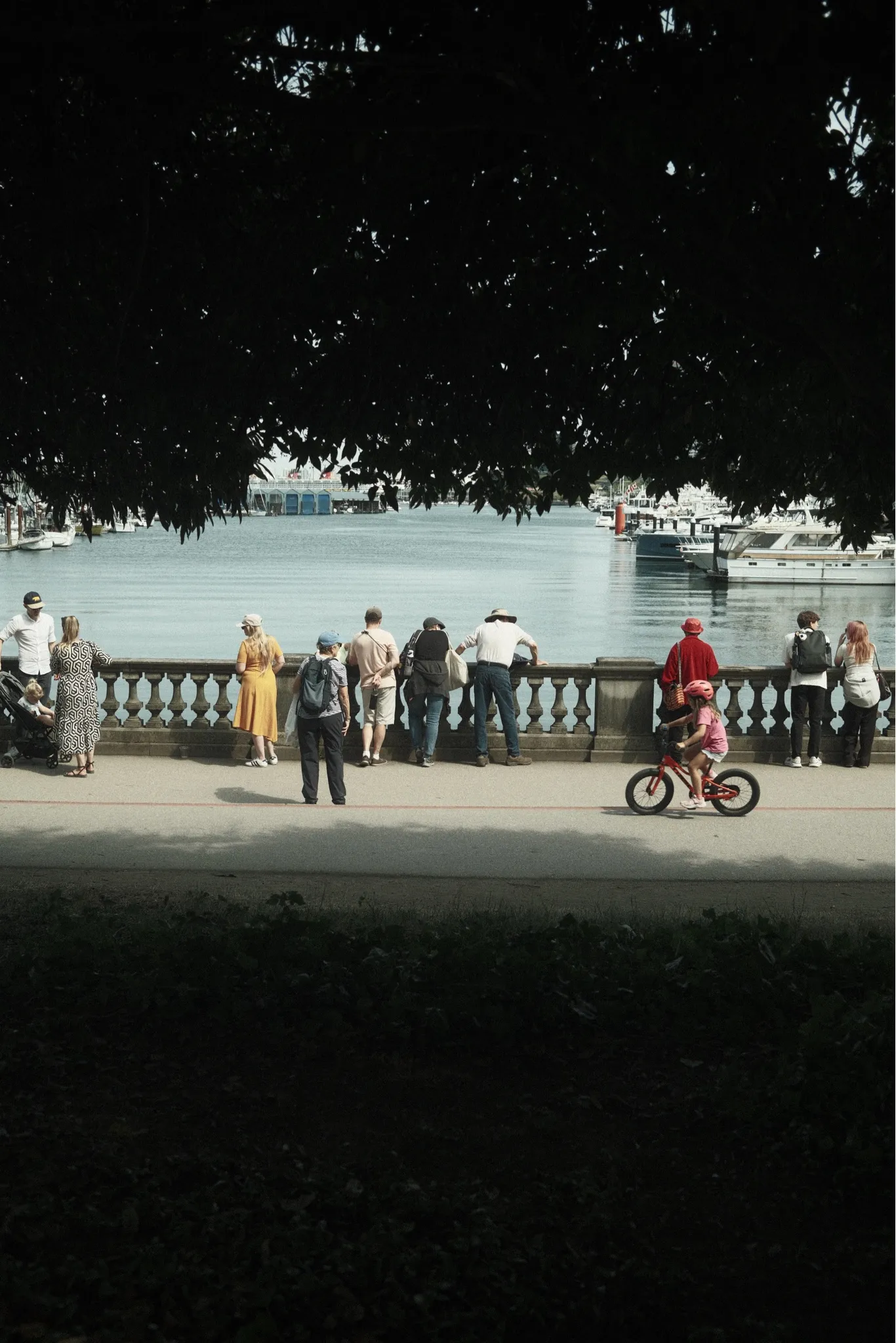 Seawall, rendered in Ferrania Solaris FG 400