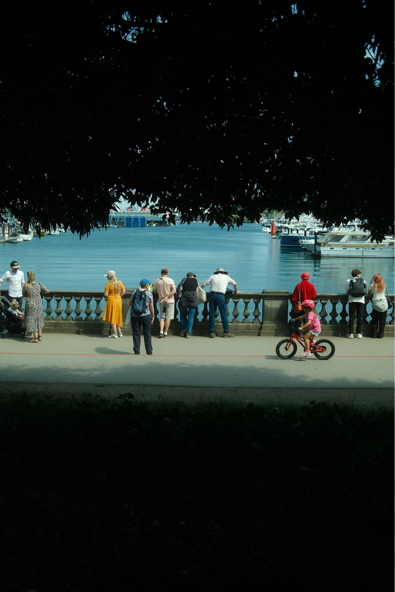 Seawall, rendered in Fujicolor NPH