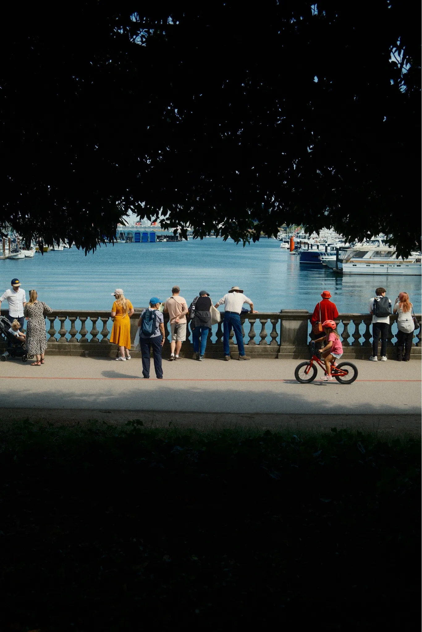 Seawall, rendered in Kodak Vericolor VPS
