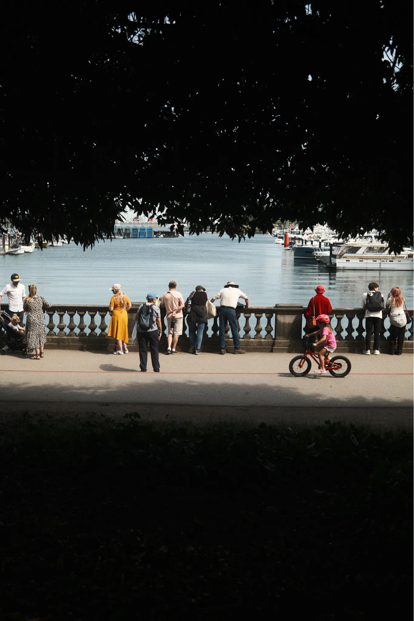 Seawall, rendered in Kodak Vision3 250D