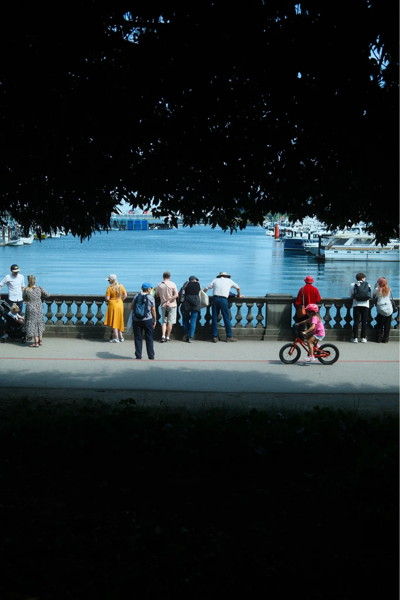 Seawall, rendered in Standard Provia