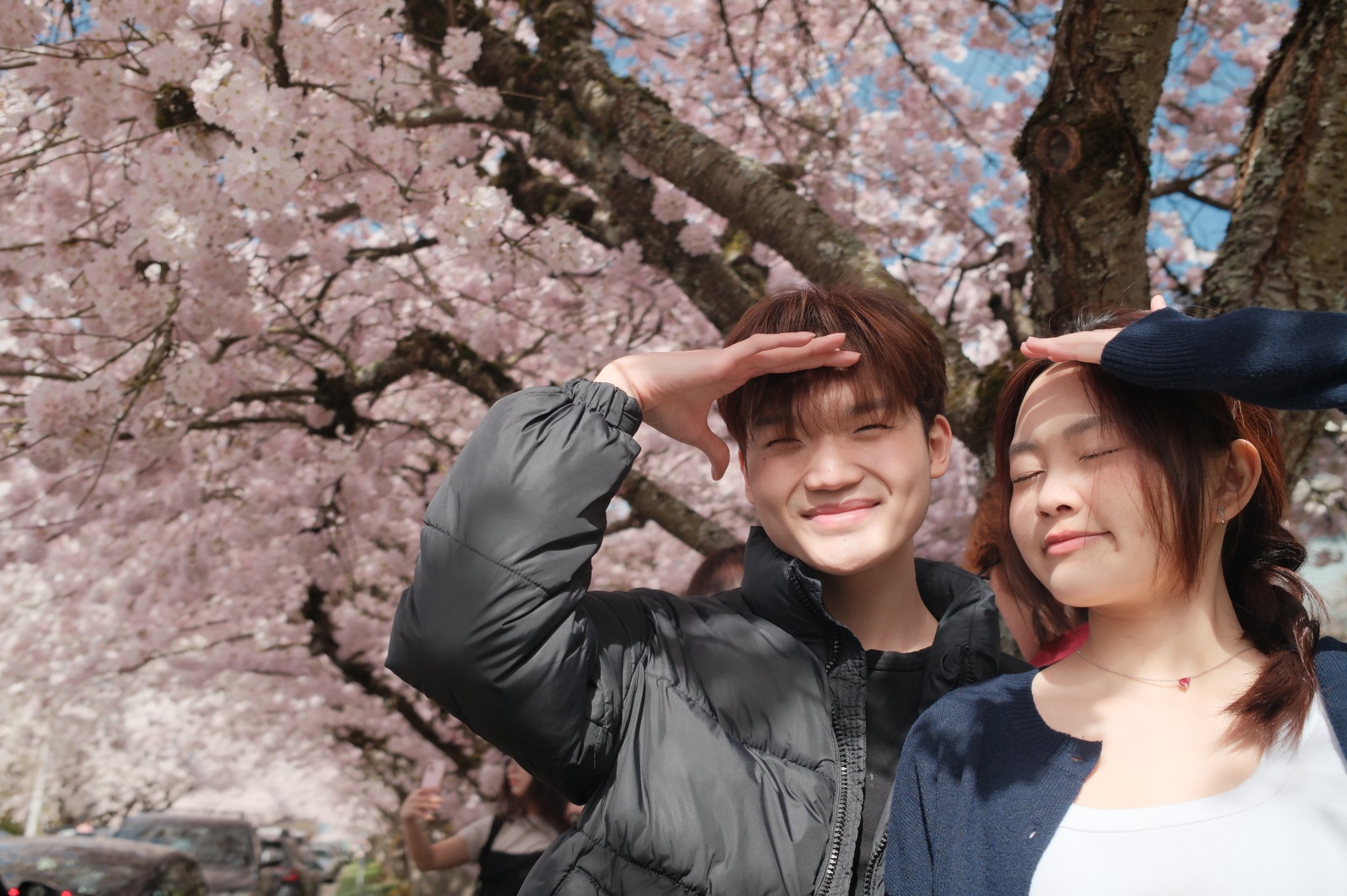 Photo shot with the Sakura Spring recipe