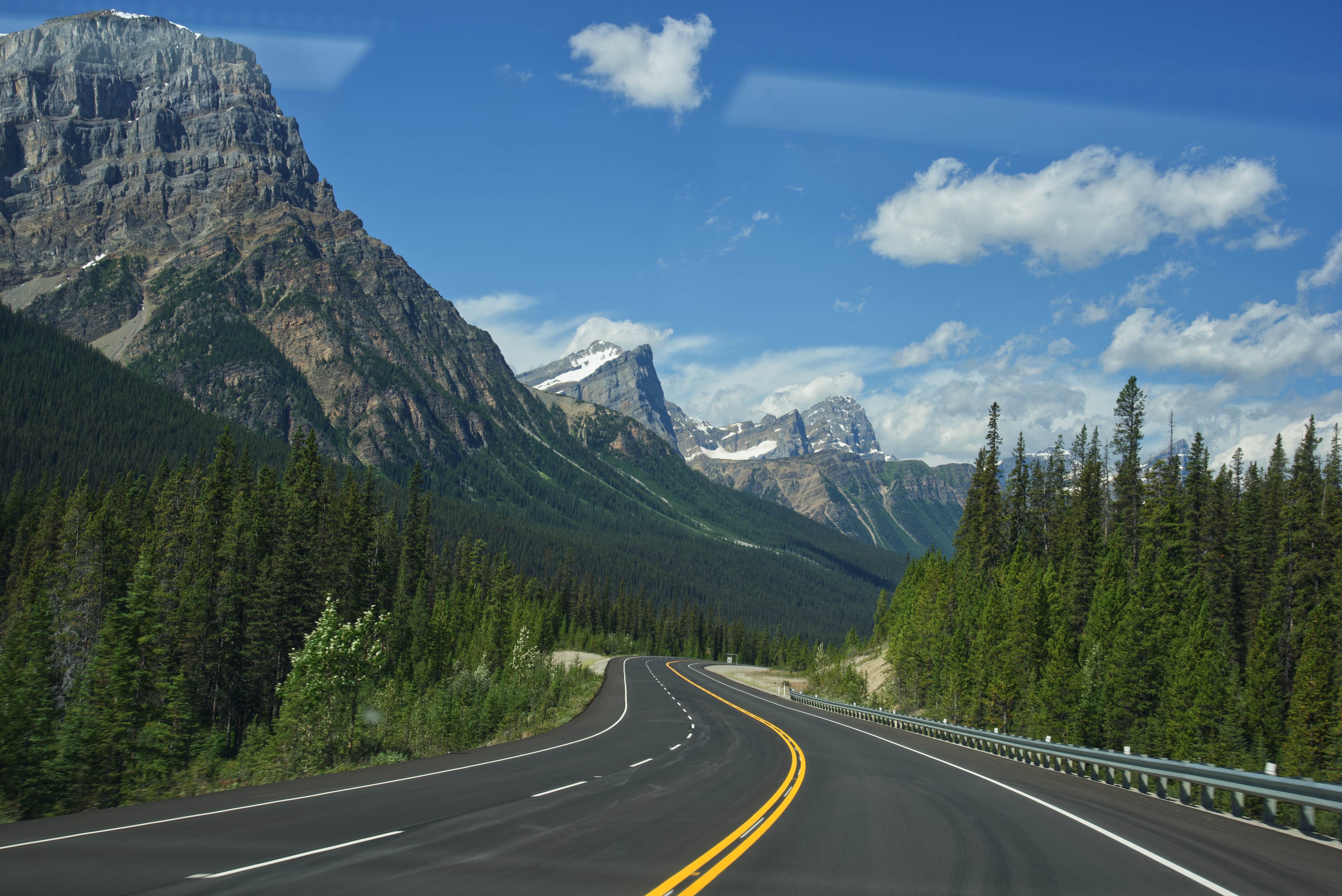 Rockies, 2023