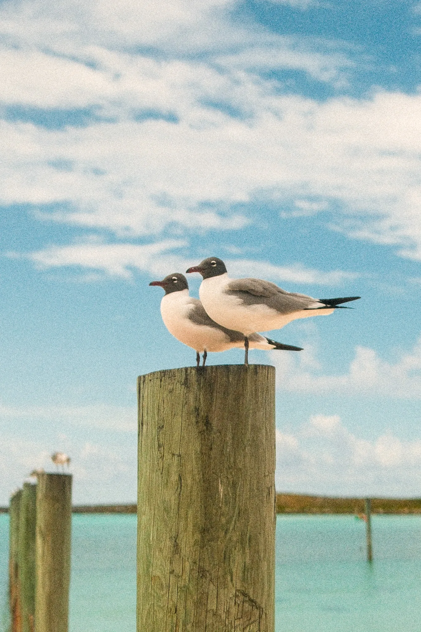 A straight-out-of-camera photo