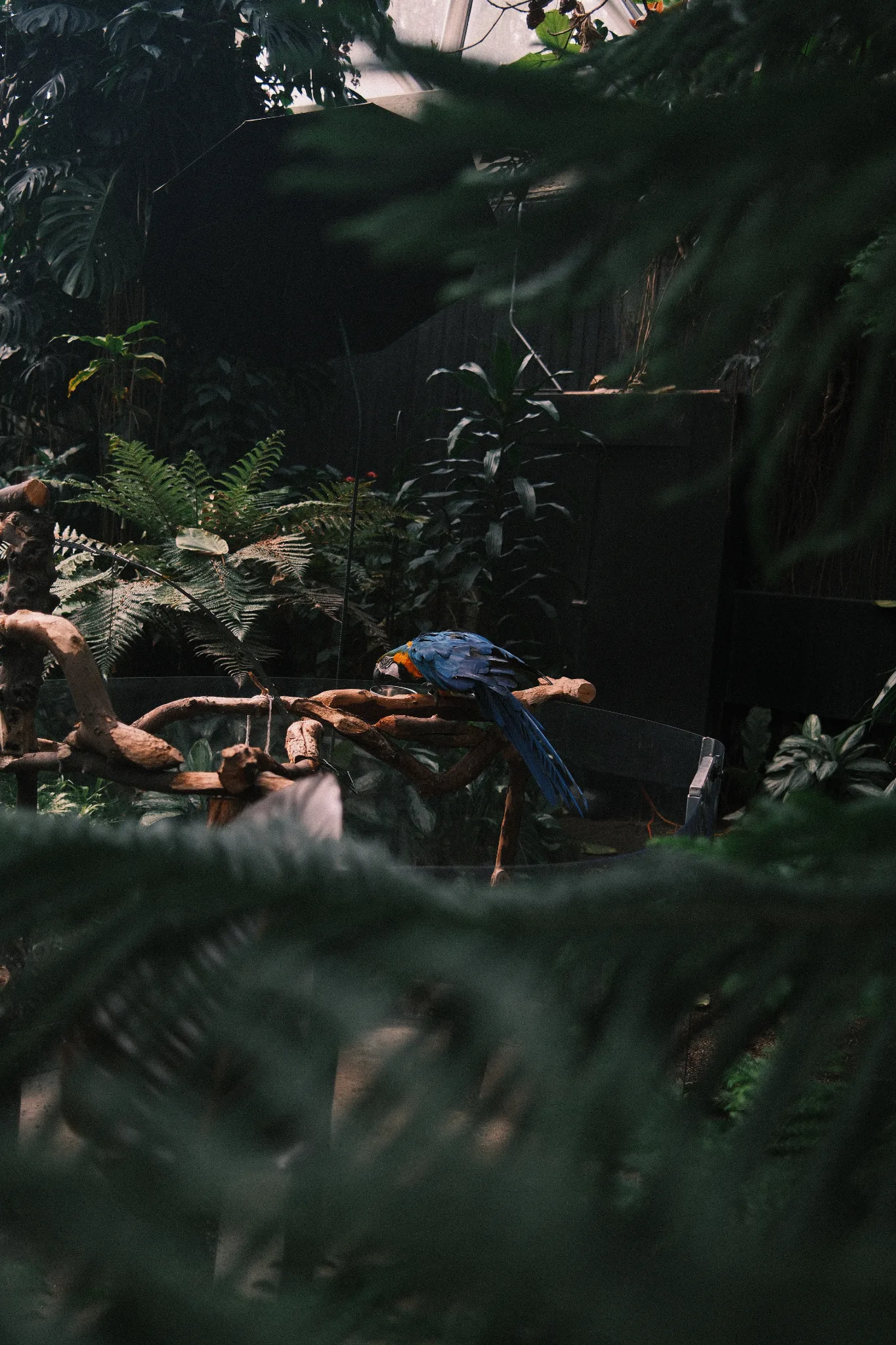 A straight-out-of-camera photo